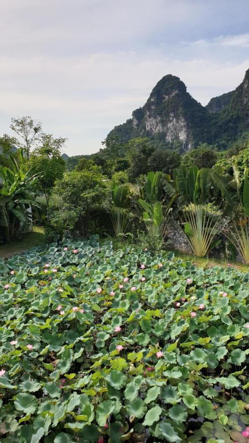 Aravinda Resort Ninh Binh Eksteriør billede