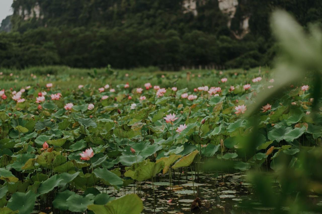 Aravinda Resort Ninh Binh Eksteriør billede